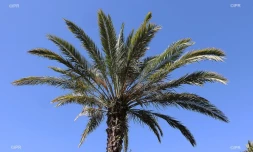 Météo Réunion
