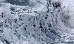 Houle à la darse du Port Ouest