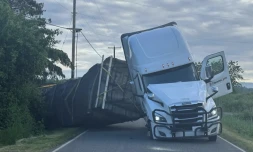 250 millions d’abeilles s’échappent d’un camion après un accident [?]