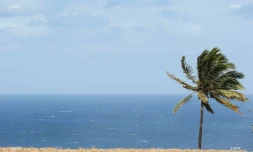 Météo réunion 