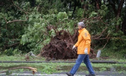 cyclone intense Batsirai 2 février 2022 côte est