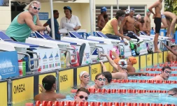Meeting natation 2015