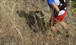 Grand Raid, samedi 22 octobre 2016