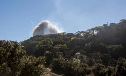 fazsoi, armée, police, saint-denis, préfecture, munitions, cartouches, grenades, actualités de la réunion