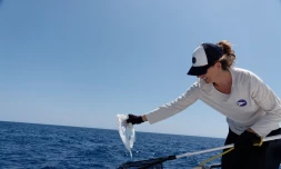 Demakot la mer: une journée éco-citoyenne