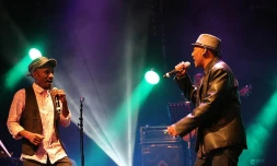 Hommage à Luc Donat