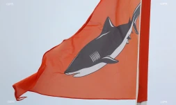 drapeaux requins ,drapeaux plages 