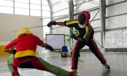 Coupe de canne de combat