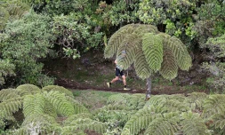 Grand Raid 2019