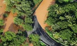 retour photo berguitta