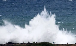 houle avril 2016