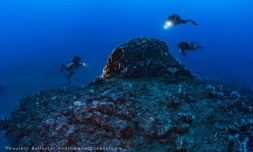 Conférence de retour d'expédition La Pérouse le 8 novembre