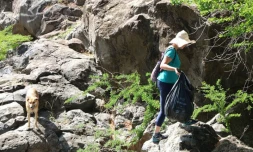 nettoyage ravine saint-gilles