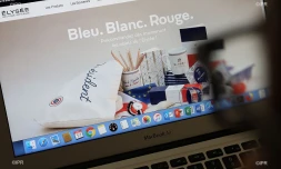 site Elysée 