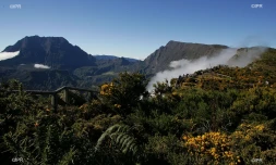 paysages 