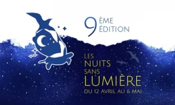 Nuits sans lumière à Saint-Denis