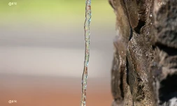 Eau 
