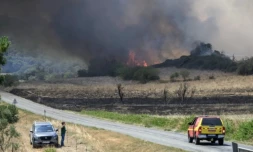 Les sapeurs-pompiers luttent contre un incendie à Bizanet, dans l'Aude, le 30 juin 2025 ( AFP / Ed JONES )
