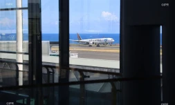 air austral 