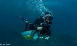 17 tonnes de déchets ramassées à La Réunion