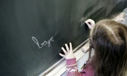 Un professeur des écoles a été mis en examen pour viol et agressions sexuelles sur une fillette de 4 ans dans une école de Genlis (Côte-d'Or)