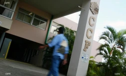 EGC (école de commerce de Saint-Denis )