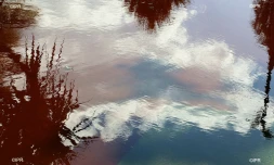 météo réunion 