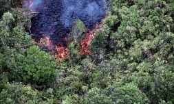 volcan, août 2019, quatrième éruption, 14 août 2019, Piton de la Fournaise