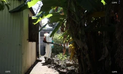 Vendredi 5 avril 2019 - opération de démoustication à la Ravine des Cabris