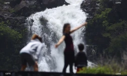 La ravine colimaçonn à Saint-Leu le 25 janvier 2020