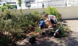 Saint-Paul : des plantations d'arbres pour l'école Sarda Garriga