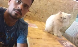 Jérémy Caro veut ouvrir son bar à chats à La Rivière Saint-Louis.