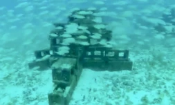 Récifs artificiels créés à partir des débris de l'ouragan Irma