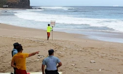 Attaque de Requin à Boucan Canot le samedi 27 août 2016