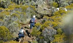 Course en montagne