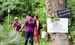Fete de la Bretagne à Saint-Denis