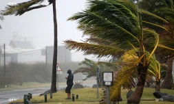 changement climatique 