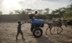 244 millions d'enfants ne vont toujours pas à l'école dans le monde