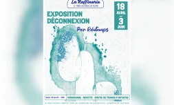 Saint-Paul : "Déconnexion", une exposition entre art et nature à La Raffinerie