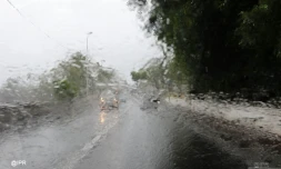 Pluie
