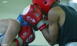 Boxe 
