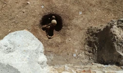 Des sépultures de Gaulois enterrés assis sur un site de fouilles archéologiques à Dijon, le 17 mars 2026 en Côte d'Or