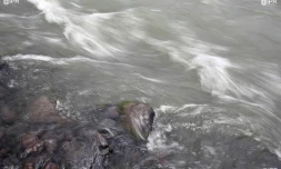 Cours d\'eau 