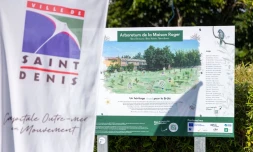 Saint-Denis : inauguration d'un arboretum au cœur du Brûlé