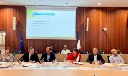 comité stratégique port