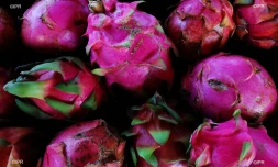 légumes et fruits