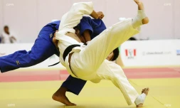 judo