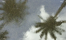 Pluie