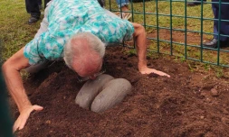 Le Tampon : la "coco-fesse", plus graine graine du monde, plantée au parc des Palmiers