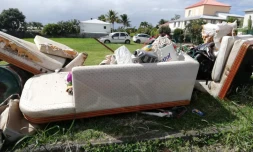 Band cochon : 75 dépÎts sauvages photographiés cette semaine [